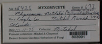 Image Associated With the Occurence